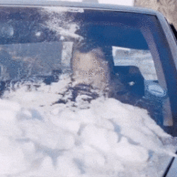 Ιδιαίτερα συχνό είναι το φαινόμενο σχηματισμού πάγου επάνω στις επιφάνειες του αυτοκινήτου, λόγω των χαμηλών θερμοκρασιών, αλλά και εξαιτίας μιας ενδεχόμενης χιονόπτωσης. Τι θα πρέπει να κάνουμε σε αυτές τις περιπτώσεις και ποια μέτρα προφύλαξης μπορούμε να πάρουμε; Διαβάστε ορισμένες πρακτικές συμβουλές, που ο κάθε οδηγός μπορεί να εφαρμόσει σε αυτές τις περιπτώσεις. Το σωστό αντιψυκτικό κάνει τη διαφορά Βασικό και πρωτεύον ζήτημα για κάθε οδηγό (σε κάθε εποχή, αλλά πολύ περισσότερο στις ακραίες συνθήκες θερμοκρασίας, όπως είναι ο χειμώνας και το καλοκαίρι) είναι η σωστή χρήση του αντιψυκτικού υγρού. Αυτό βοηθά στην εύρυθμη λειτουργία του κινητήρα σε αντίξοες συνθήκες (είτε πρόκειται για πολύ χαμηλές θερμοκρασίες, είτε για πολύ υψηλές). Προσθέστε την κατάλληλη ποσότητα αντιψυκτικού στο ειδικό δοχείο, ενώ πάντα θα πρέπει να προσέχετε να χρησιμοποιείτε εκείνο που πληροί τις προδιαγραφές του κατασκευαστή. Ακόμη, θα πρέπει να αναμιγνύετε το αντιψυκτικό υγρό με αποσταγμένο νερό, στο ποσοστό που έχει θέσει ο κατασκευαστής.